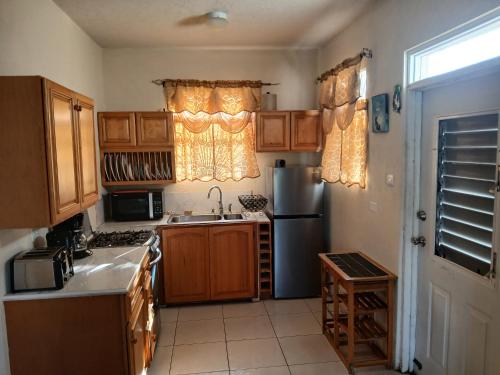 セント・ジェームスにあるOne Bedroom Apartment 1 minute walk to West Coast Beach!のキッチン(木製キャビネット、ステンレス製の冷蔵庫付)