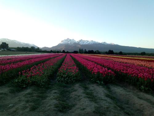 Příroda nedaleko prázdninového domu