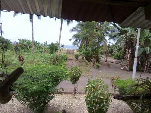 vistas a un jardín con árboles y plantas en Posada Oliva, en El Valle