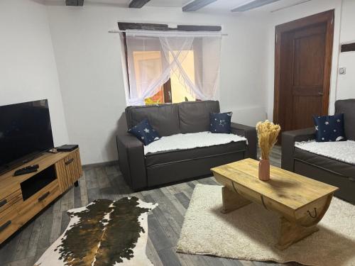ein Wohnzimmer mit einer Couch und einem Couchtisch in der Unterkunft Le petit nid de cigogne in Colmar