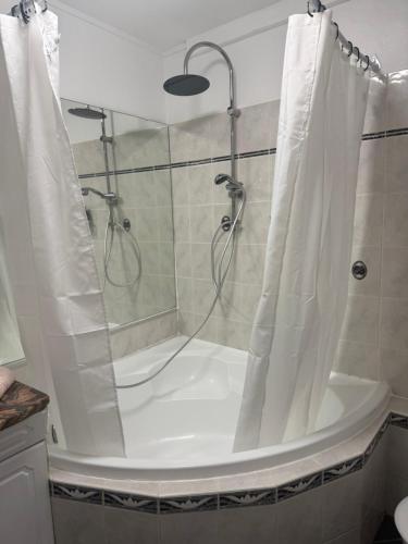 ein Bad mit Dusche und Duschvorhang in der Unterkunft Le petit nid de cigogne in Colmar