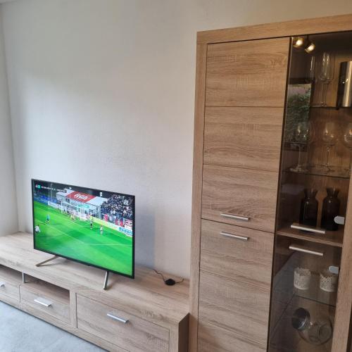 TV a/nebo společenská místnost v ubytování Ferienwohnung Wiesengrund