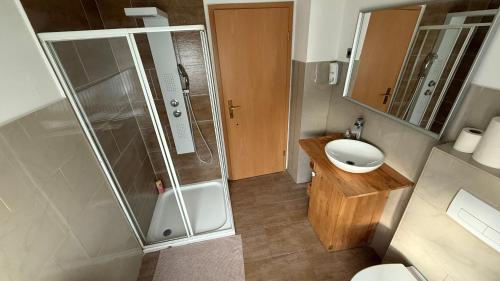 a small bathroom with a shower and a sink at Adler Haus in Neunkirchen