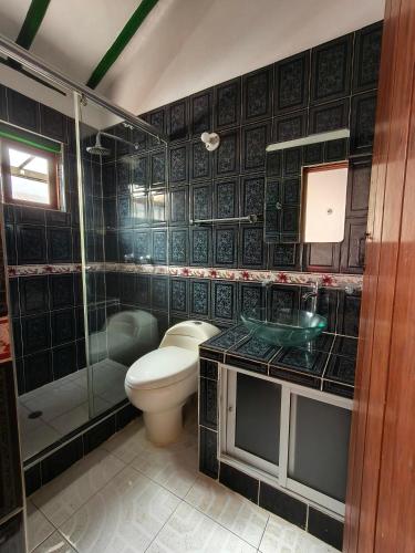 a bathroom with a toilet and a shower and a sink at Roomii Hostel in Villa de Leyva