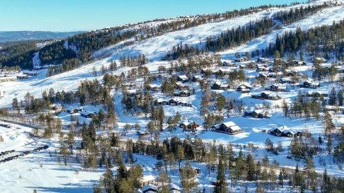 Fotografie z fotogalerie ubytování Big family cabin with ski in ski out v destinaci Drangedal