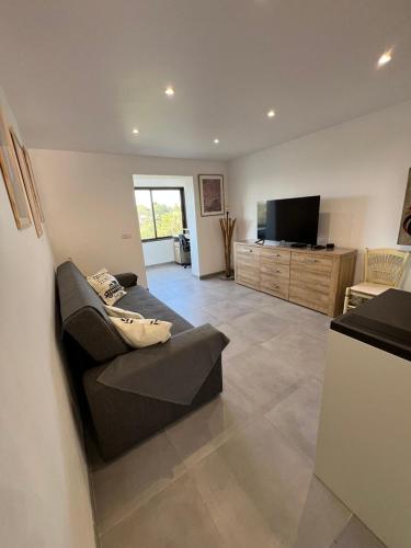 Appartement avec jardin et cuisine d'été