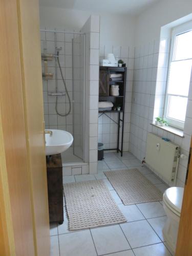 a bathroom with a shower and a sink at Wohnung am Tor zur Lewitz-Erdgeschoss in Banzkow