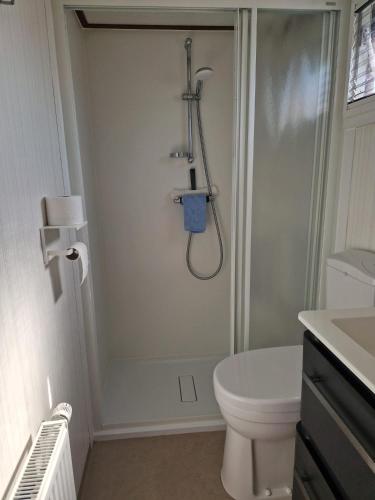 a bathroom with a shower and a toilet at Zeester in Ameland