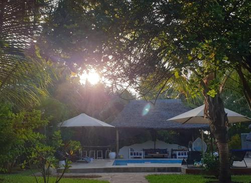 ein Haus mit Pool, Sonnenschirmen und Sonne in der Unterkunft Diani Gardens Cottage in Ukunda Airport