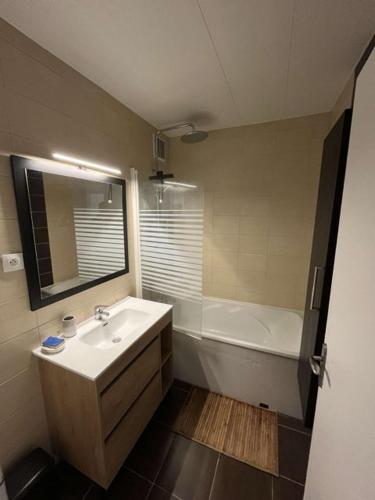 een badkamer met een wastafel en een ligbad bij Appartement spacieux 4 personnes in Charleville-Mézières