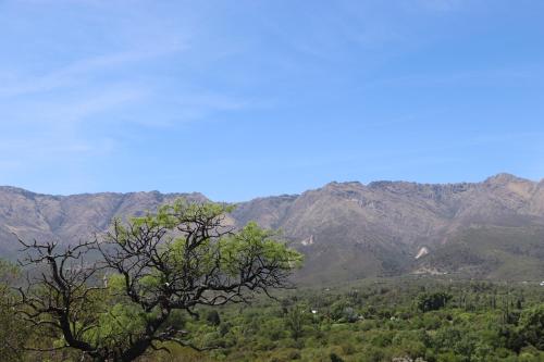 a view of a mountain range with a tree at Refugio de las Nubes in Las Rabonas