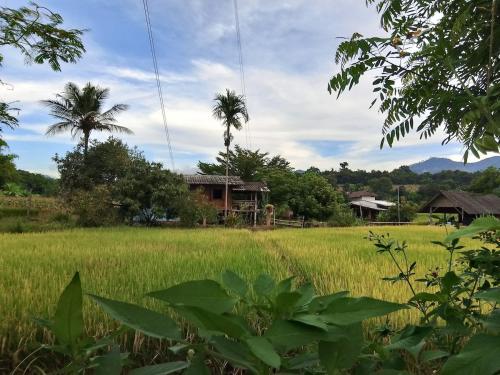 Naturlandskabet i nærheden af feriehuset