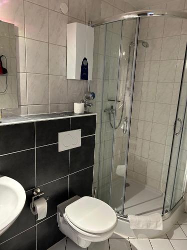 a bathroom with a shower and a toilet and a sink at Ferienwohnung mit Schwimmbad und Gartenblick in Sankt Englmar