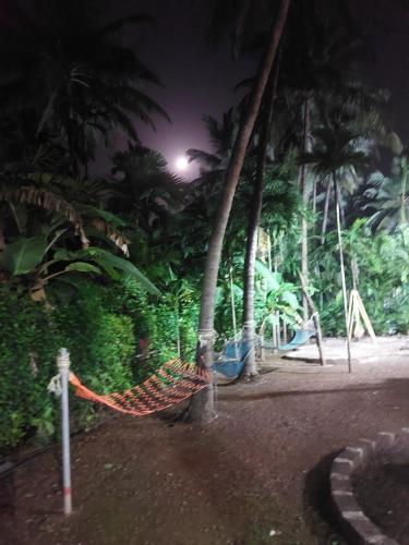 Imagine din galeria proprietății Coral Beach Resort, Diveagar în Diveagar