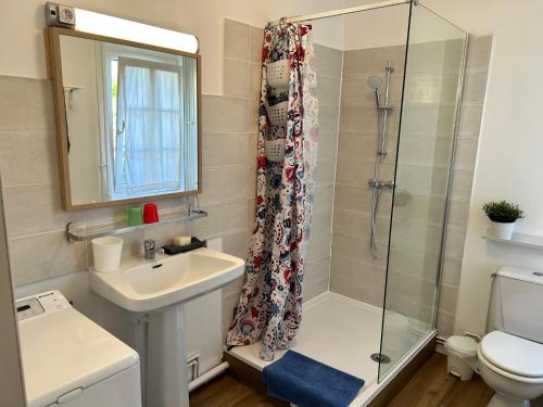 a bathroom with a shower and a sink and a toilet at Gite de Mauxe in Acquigny