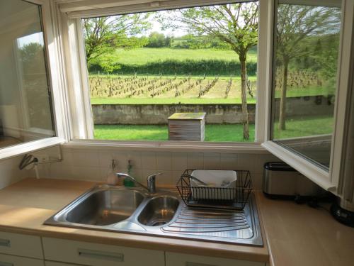 a kitchen sink and a window with a view of a vineyard at Les Vignes de Paris in Paris-lʼHôpital