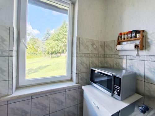 a microwave sitting on top of a counter next to a window at Am Springelbach in Hinternah