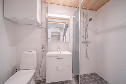 Koupelna v ubytování Sisu Stay Studio Jetset Levi