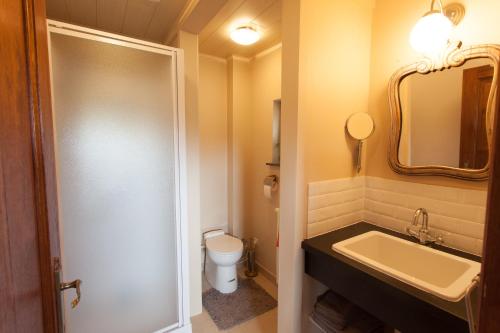 HorebekeにあるCleensydeのバスルーム(洗面台、トイレ、鏡付)