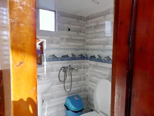 a small bathroom with a shower and a toilet at Traditional Felucca Sailing Boat Overnight in Aswan