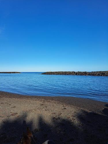 a dog laying on the beach next to the water at El jardin de Valle de Guimar in Güimar
