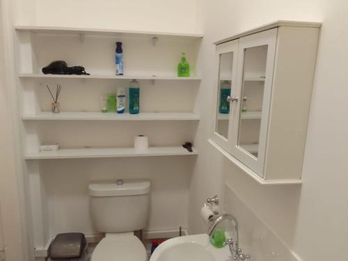 a bathroom with a toilet and a sink and a mirror at Executive Suite at Ideal home & cottage, Inviting 2 Bedroom apartment, Sleep 6 Ideal for contractors, family & Groups in Birmingham