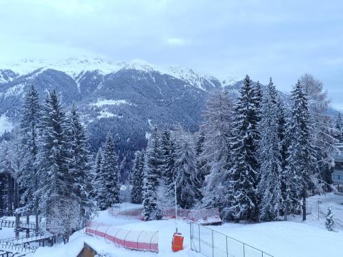 Το "FamilyNest" by Staymarilleva1400 τον χειμώνα