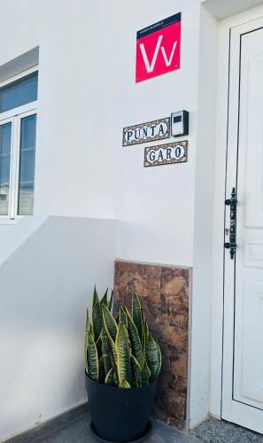 eine Pflanze in einem Topf vor einem Gebäude in der Unterkunft Punta Garo in Punta de Mujeres
