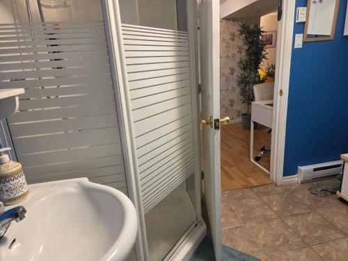 un baño con ducha y lavabo en L ' Arlequin Suite et logement, en Vaudreuil-Dorion
