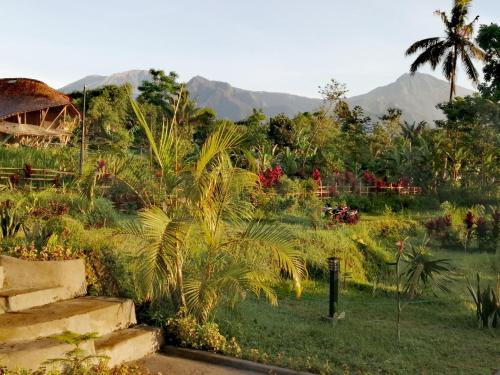 Mimpi Manis Villas外面的花园