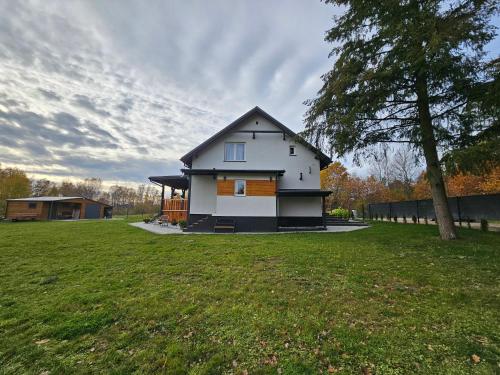 a house in a field with a tree at Ostoja SOWIBÓR in Dołgie