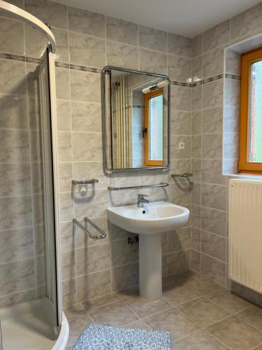 a bathroom with a sink and a shower with a mirror at Pr Fajfarju in Spodnja Sorica