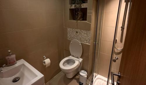 a small bathroom with a toilet and a sink at Stylish Duplex Apartment in Liverpool City Centre in Liverpool