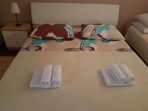 Apartment Roma