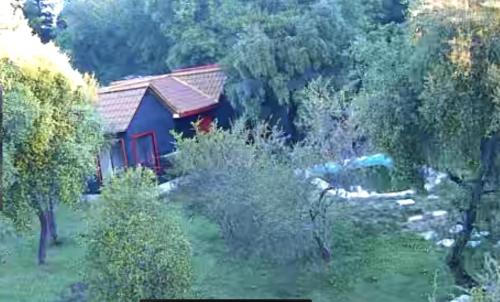 a small red house in the middle of a forest at Casa La Miel in Estación Cuñibal