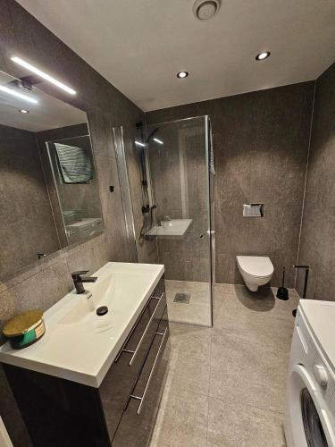 a bathroom with a sink and a shower and a toilet at Unique apartment in Spydeberg in Spydeberg