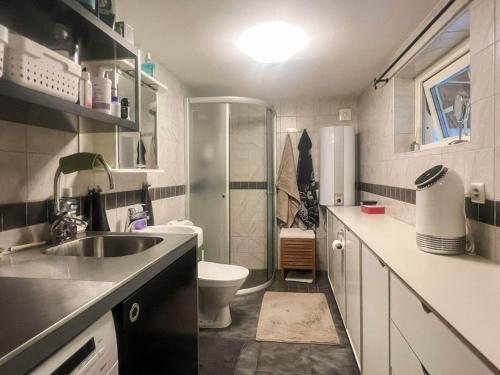 OrmarydにあるCharming Cottage by Sjunnaryd Lakeのトイレと洗面台のある小さなバスルーム