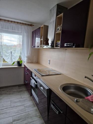 a kitchen with a sink and a counter top at Ferienwohnung Krysanovsk in Eslarn