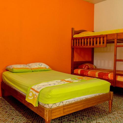 two bunk beds in a room with orange walls at Puerto Quito Lodge - Las Iguanas in Puerto Quito