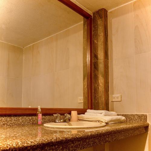 a bathroom counter with a sink and a mirror at Puerto Quito Lodge - Las Iguanas in Puerto Quito