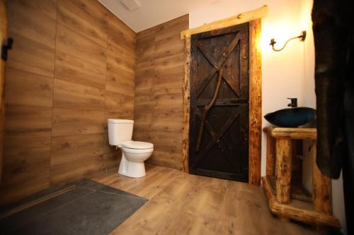 a bathroom with a toilet and a wooden wall at Rochowa Buźnica Apartament 1 in Zakopane