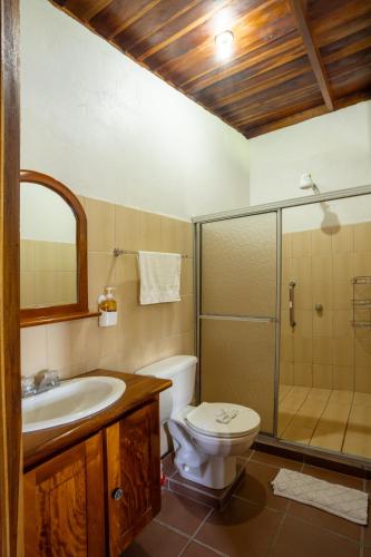 a bathroom with a toilet sink and a shower at Villas Josipek in Fortuna