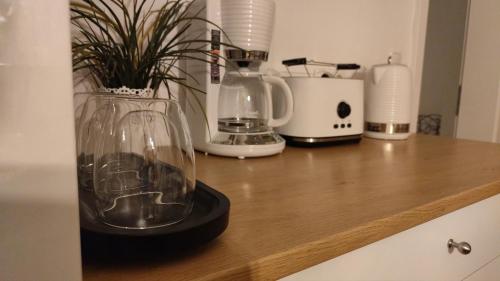 eine Küchentheke mit einer Vase mit einer Pflanze darin in der Unterkunft Ferienwohnung in Windischeschenbach