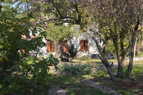 une maison à travers les arbres de la cour dans l'établissement Le souffle des Acacias, à Beaurepaire