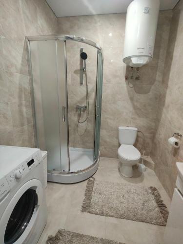 a bathroom with a shower and a toilet and a washing machine at New Suit Apartment in Hostomelʼ
