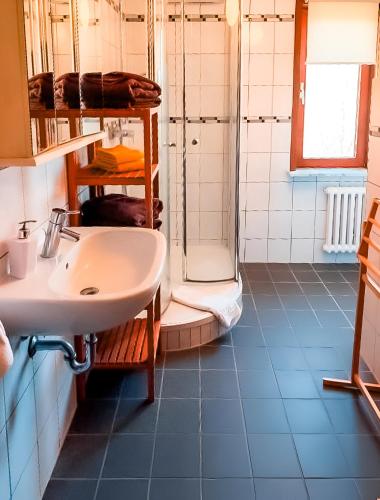 a bathroom with a sink and a shower at Hotel Carlsruh in Braunlage
