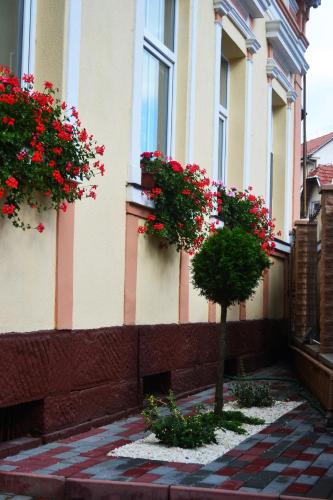 a building with red flowers on the side of it at Pensiunea Lucia in Sfântu-Gheorghe