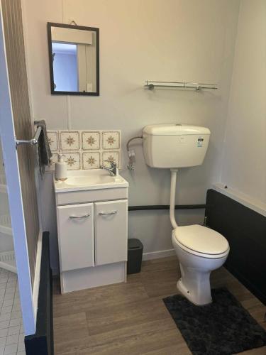 a bathroom with a toilet and a sink and a mirror at Sea La Vie in Cable Bay