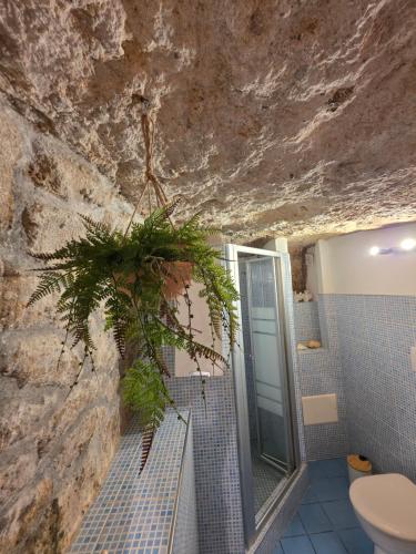 baño con una planta colgada de la pared en Domu Malaspina, en Bosa