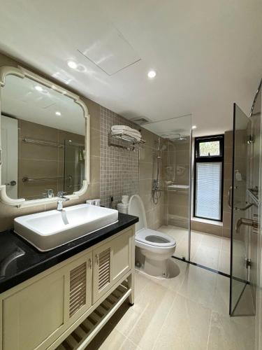 a bathroom with a sink and a toilet and a mirror at Camly Chic Villa in Da Lat